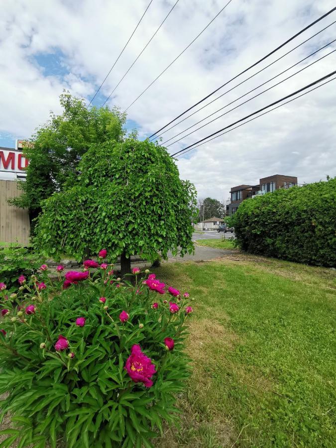 Motel Sainte Catherine Sainte-Catherine Exterior foto